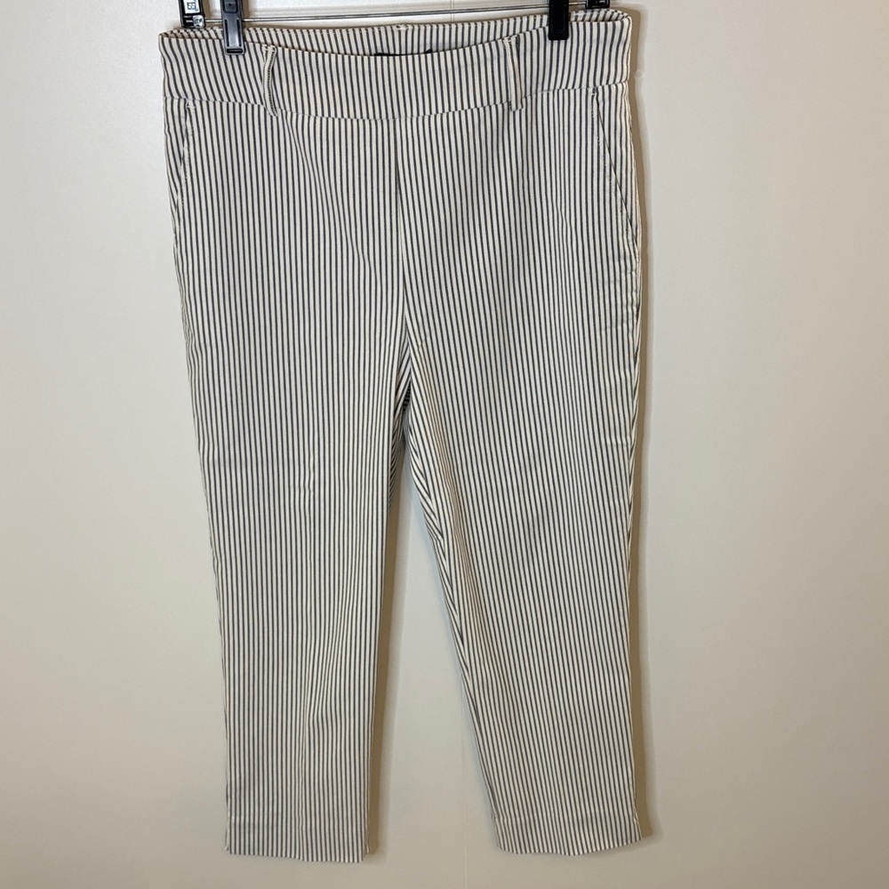 Hilary Radley Black and White Striped Chinos